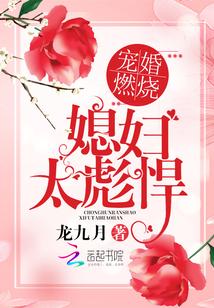 宠婚燃烧：媳妇太彪悍