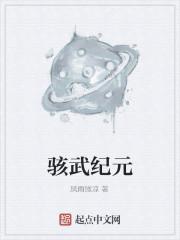 骇武纪元