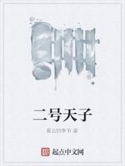 二号天子