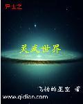 异世之灵武世界