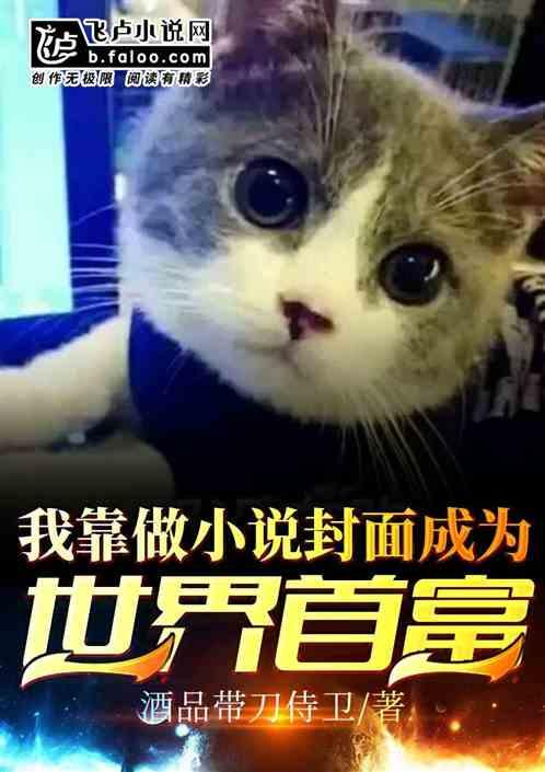 我靠做小说封面成世界首富
