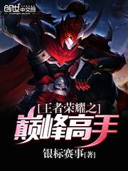 王者荣耀之巅峰高手