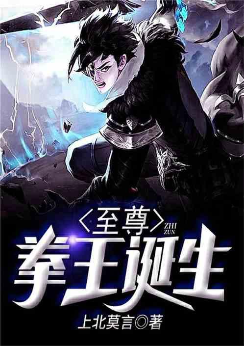 至尊拳王诞生