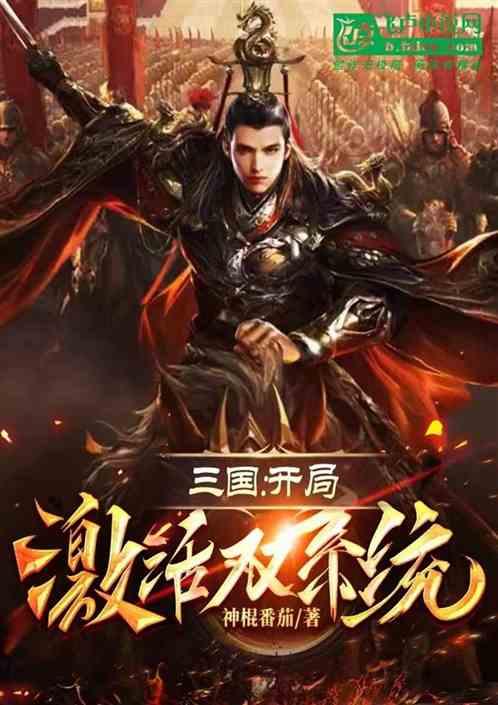 三国：开局激活双系统