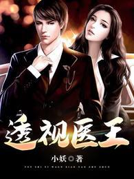 国婿风水师