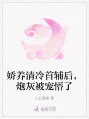 娇养清冷首辅后，炮灰被宠懵了