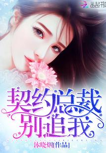 契约总裁，别追我！