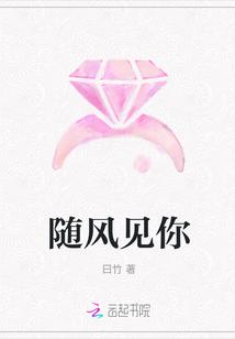 随风见你