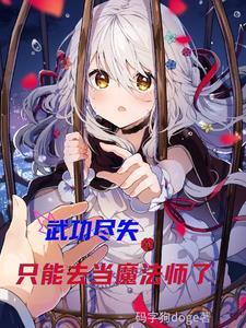 武功尽失，只能去当魔法师了