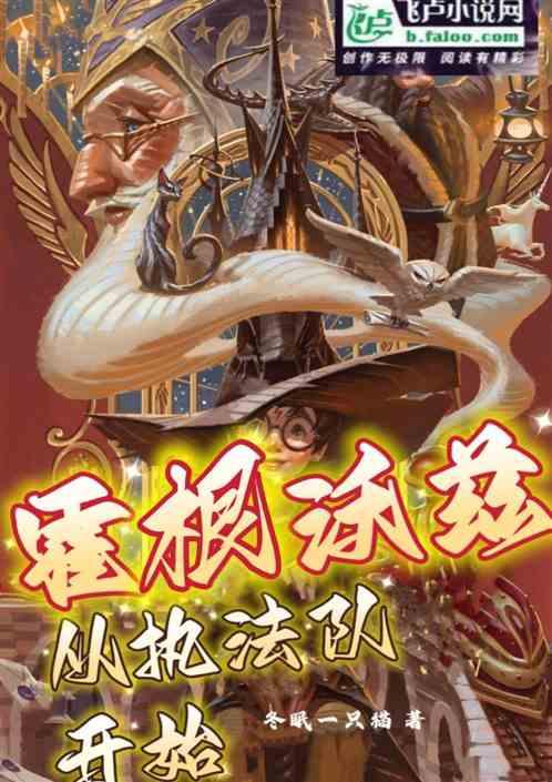 霍根沃兹:从执法队开始