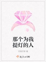 那个为我提灯的人
