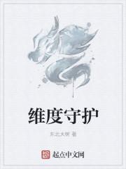 维度守护