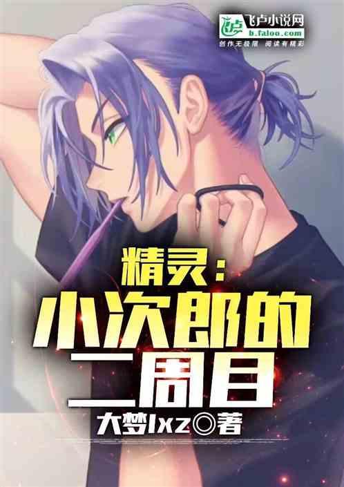 精灵：小次郎的二周目