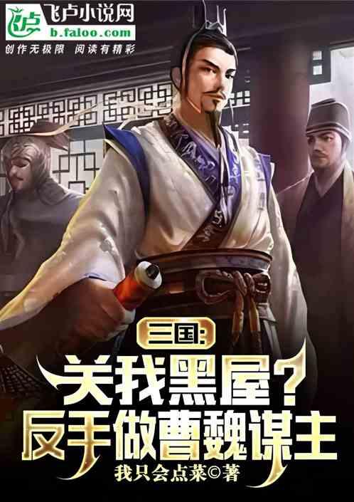 三国：关我黑屋？反手做曹魏谋主