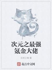 次元最强氪金大佬