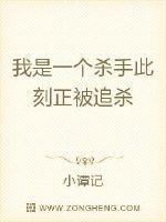 我是一个杀手此刻正被追杀