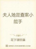夫人她是查案小能手