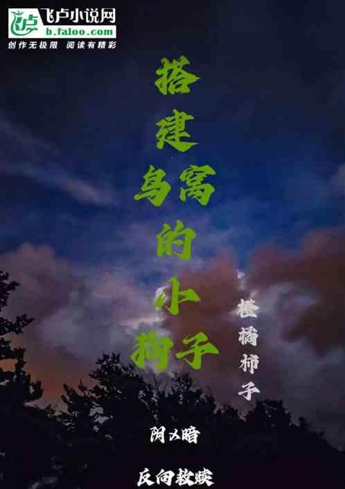 搭建鸟窝的小狗子