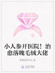 小人参开医院！治愈落魄毛绒大佬
