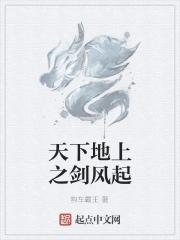 天下地上之剑风起