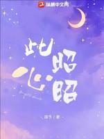此心昭昭