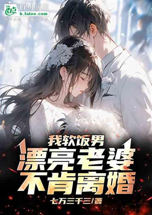 我，软饭男，漂亮老婆不肯离婚！