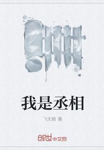 我是丞相