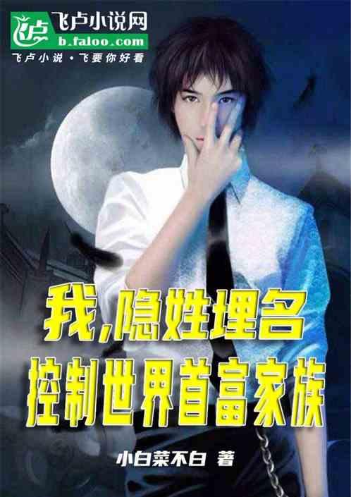 我，隐姓埋名，控制世界首富家族