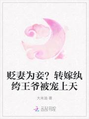 贬妻为妾？转嫁纨绔王爷被宠上天