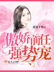 傲娇前任，强势宠！