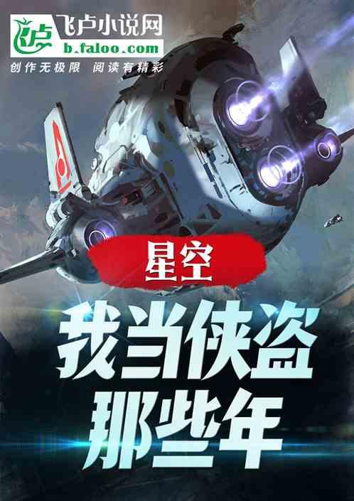星空：我当侠盗那些年