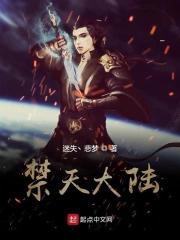 禁天大陆