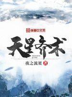 天星齐术