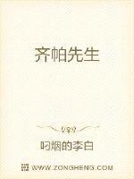 齐帕先生
