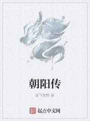 朝阳传