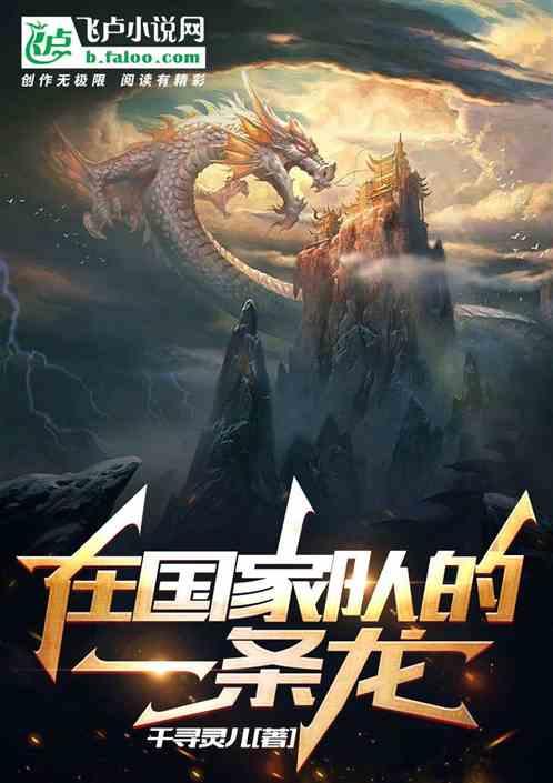 在国家队的一条龙