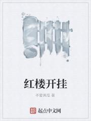 红楼开挂