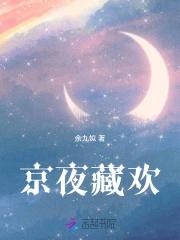 京夜藏欢