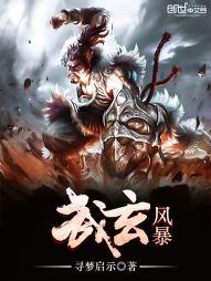 武玄风暴