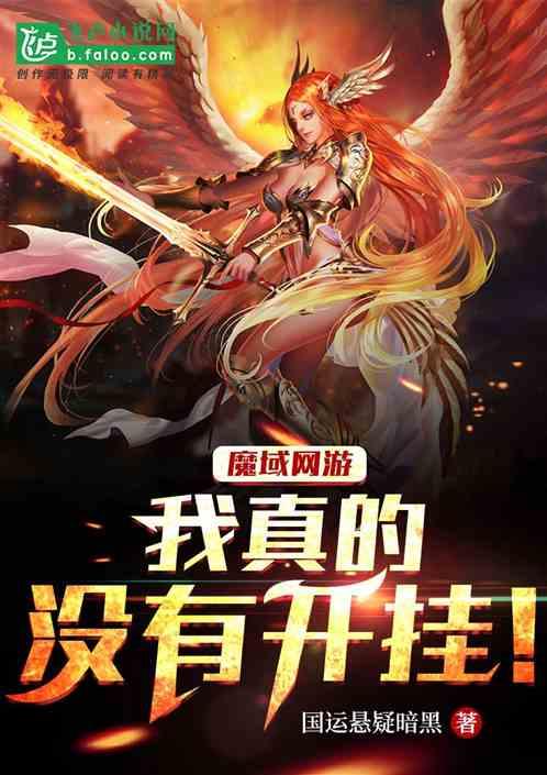 网游魔域：只有我在玩私服！