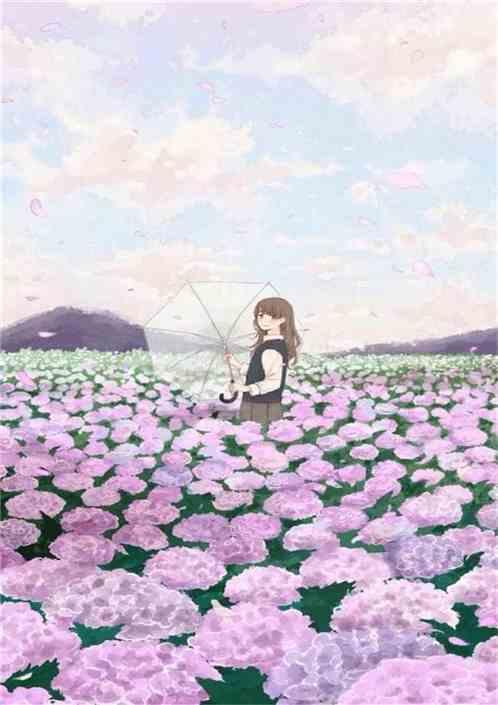 花会开