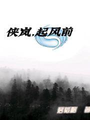 侠岚，起风前