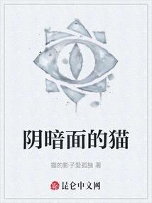 阴暗面的猫