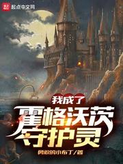 我成了霍格沃茨守护灵