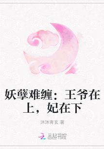 妖孽难缠：王爷在上，妃在下