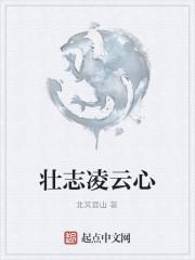壮志凌云心