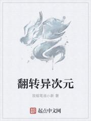 翻转异次元