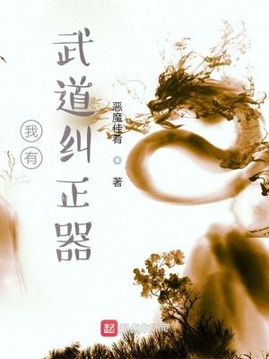 我有武道纠正器