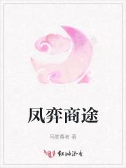 凤弈商途
