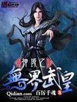 神域之无界武皇